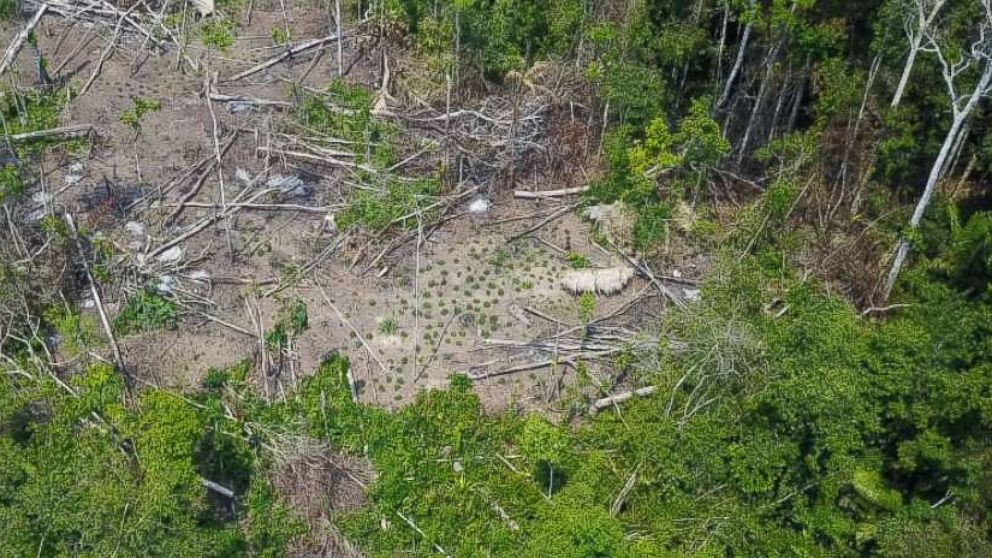 Rare footage of never-before-seen  tribe filmed by drone