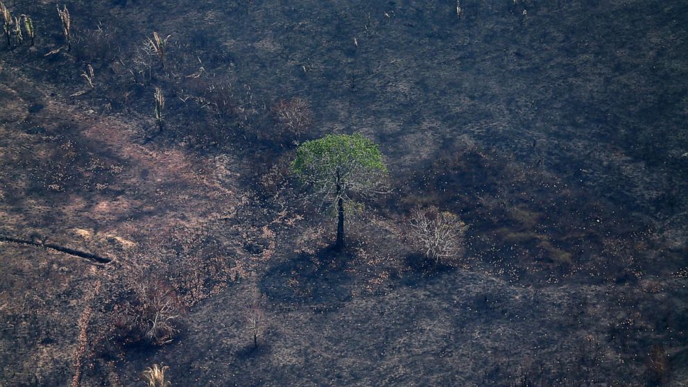 PHOTO: An aerial view of a burned tract of Amazon jungle as it was cleared by loggers and farmers near Porto Velho, Brazil, Aug. 29, 2019. 