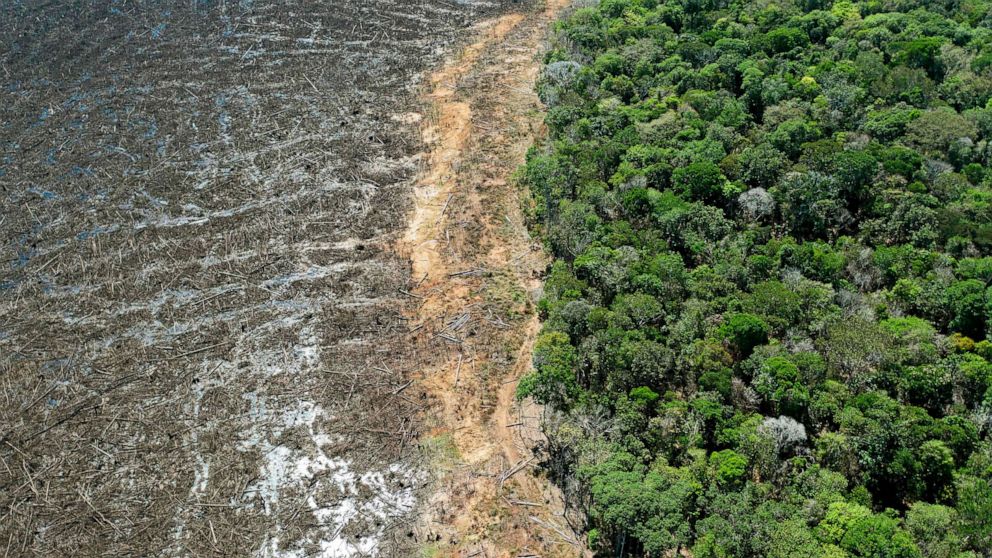 PHOTO: An aerial view of a deforested area close to Sinop, Mato Grosso State, Brazil, Aug. 7, 2020.