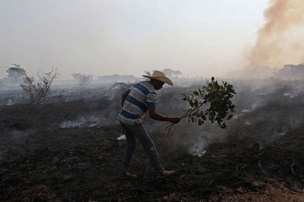 PHOTO: Dorvalino Conceicao Camargo, 56, who works on a ranch, attempts to put out a fire with a tree branch in the Pantanal, the world's largest wetland, in Pocone, Mato Grosso state, Brazil, Aug. 28, 2020.