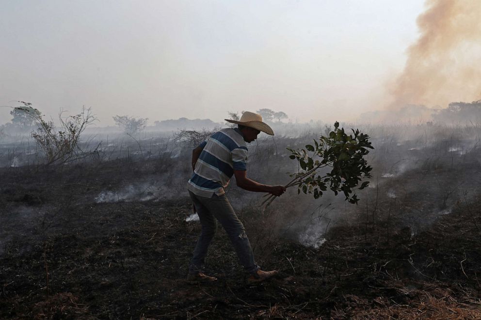 Wildfire burns Brazil's largest wetlands, killing thousands of wild ...