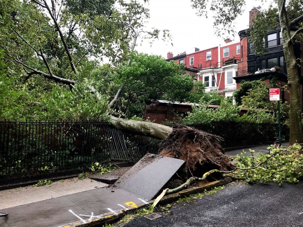 PHOTO: A tree uprooted by high winds lays on a fence in the Brooklyn Heights neighborhood in New York City, Aug. 4, 2020.
