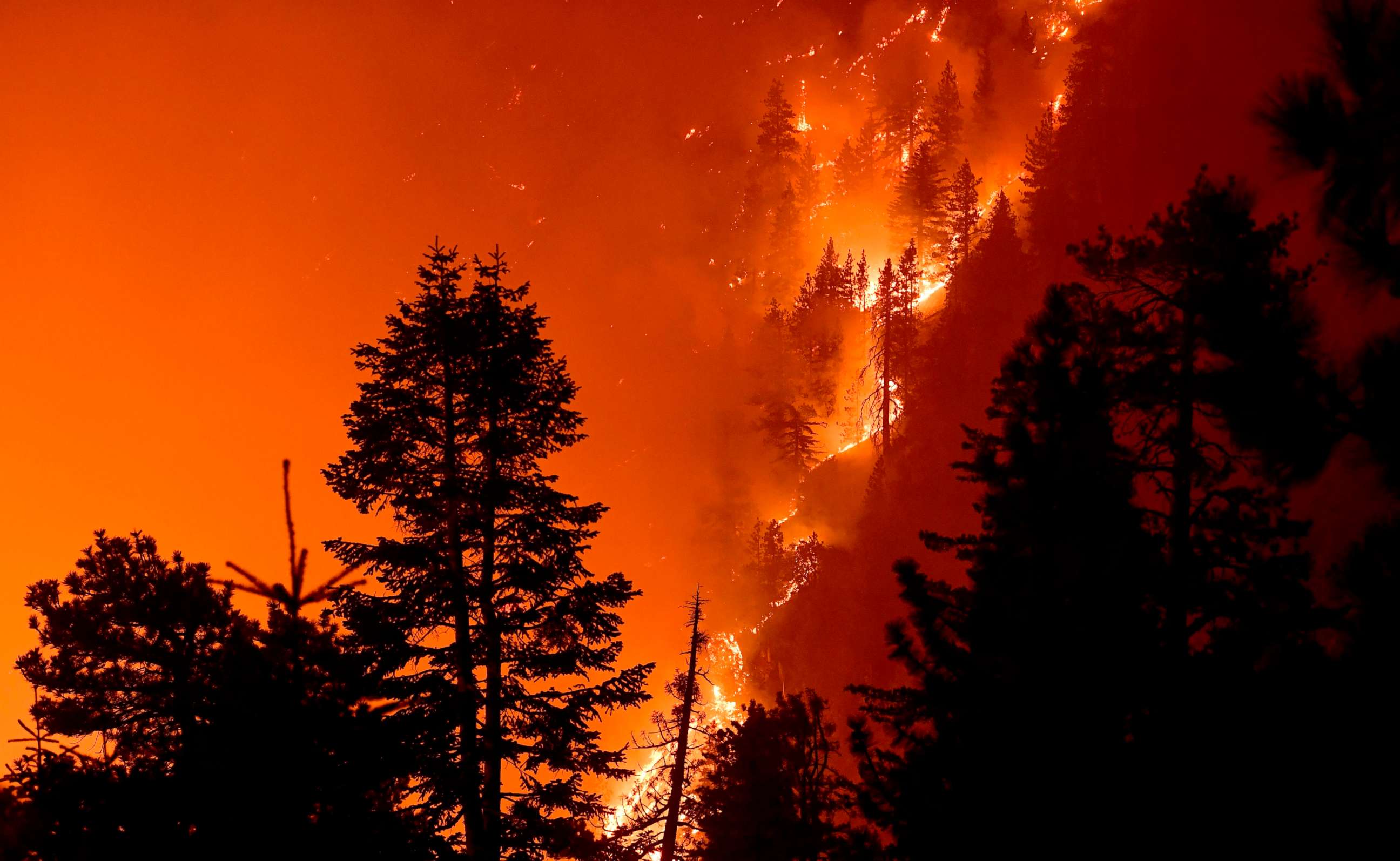 PHOTO: The Bobcat Fire burns near Cedar Springs in the Angeles National Forest, Sept. 21, 2020, in Los Angeles.