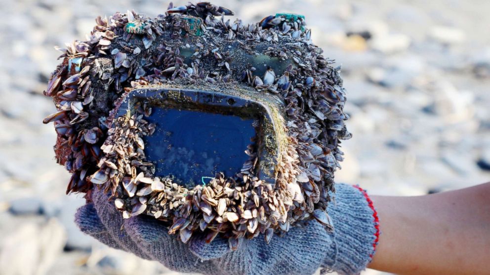 PHOTO: A handout photo made available by teacher Park Lee shows a barnacle-covered camera in a water-proof case that washed up on a beach in Ilan County, northeast Taiwan, March 27, 2018.
