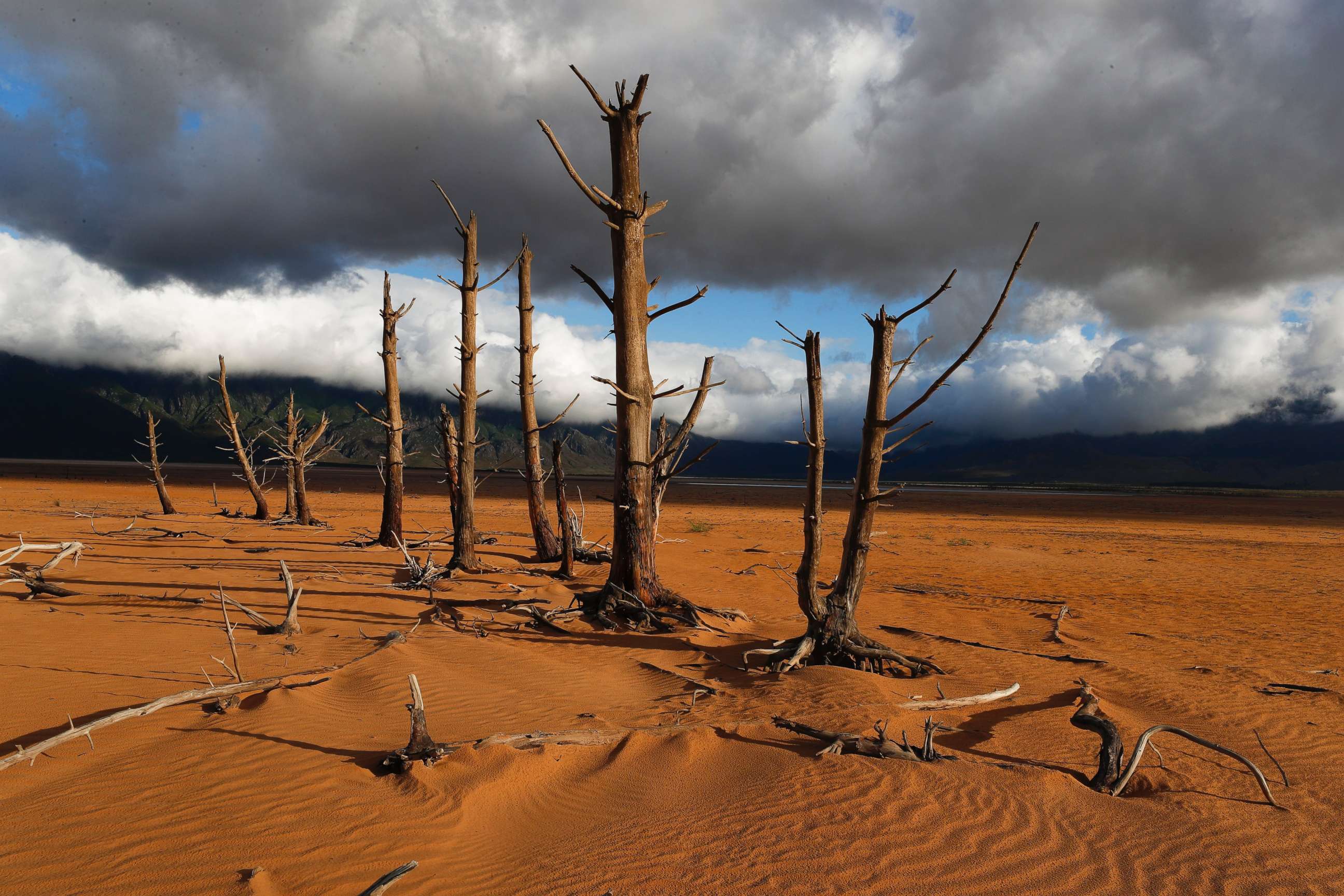 PHOTO: Tree trunks stand in the critically low Theewaterskloof Dam in Villiersdorp, South Africa, Jan. 23, 2018. Theewaterskloof Dam is the single biggest dam supplying water to Cape Town.