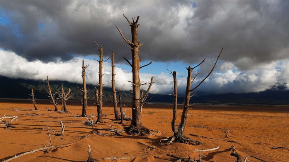 PHOTO: Tree trunks stand in the critically low Theewaterskloof Dam in Villiersdorp, South Africa, Jan. 23, 2018. Theewaterskloof Dam is the single biggest dam supplying water to Cape Town.