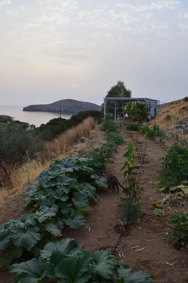 PHOTO: The sanctuary is located on the little Greek island of Syros.