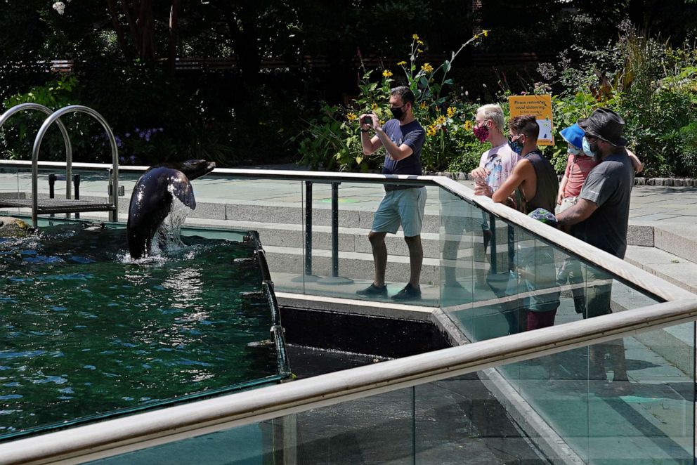 PHOTO: People wearing masks watch a sea lion jumping in a pool at Central Park Zoo as New York City enters Phase 4 of re-opening, following restrictions imposed to slow the spread of the coronavirus, July 20, 2020.