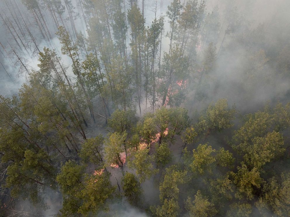 PHOTO: A forest fire burns near the village of Volodymyrivka, in the exclusion zone around the Chernobyl nuclear power plant, Ukraine, April 5, 2020.