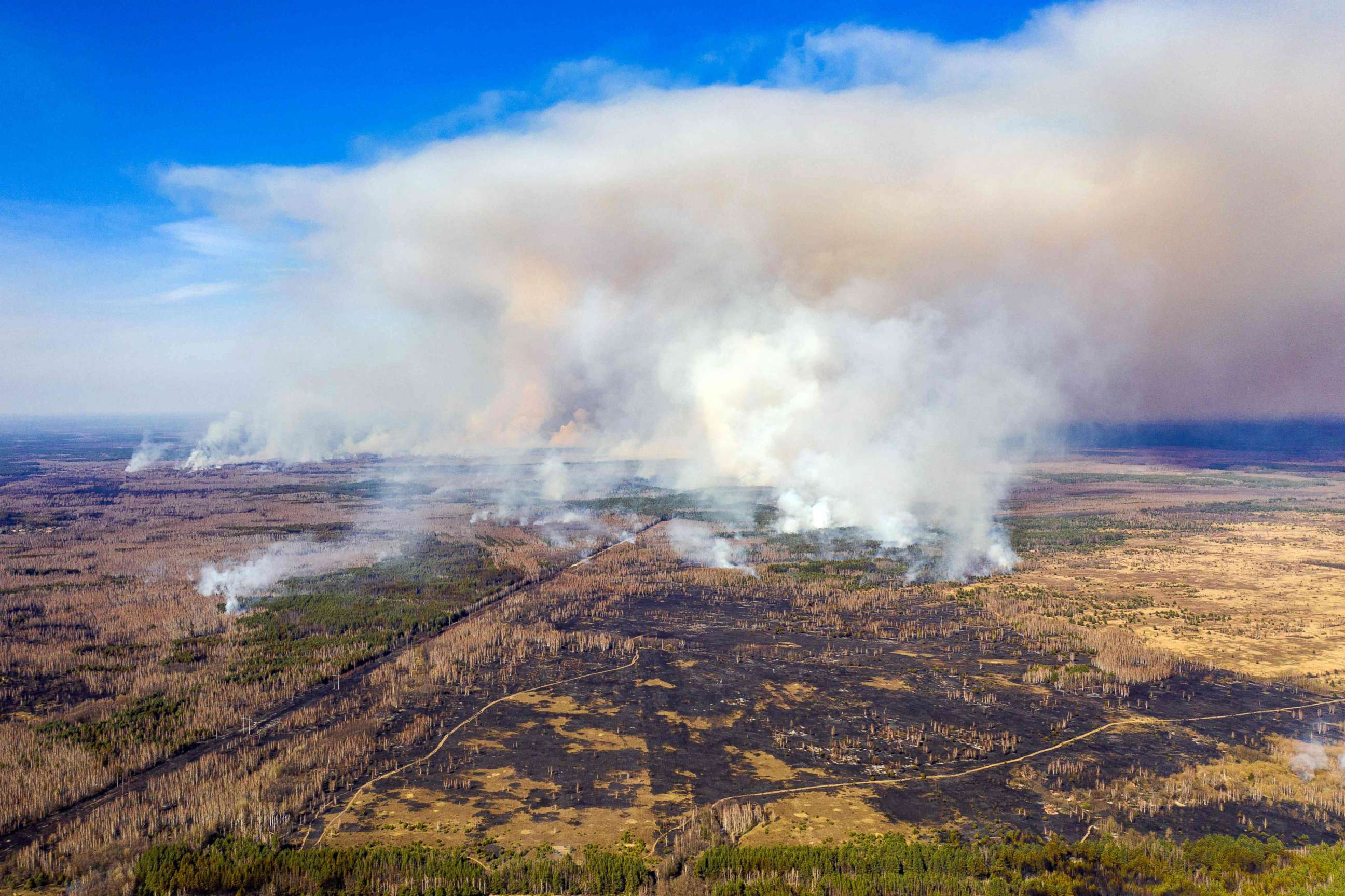 PHOTO: This aerial picture taken on April 12, 2020 shows a forest fire burning at a 30-kilometer (19-mile) Chernobyl exclusion zone in Ukraine, not far from the nuclear power plant.