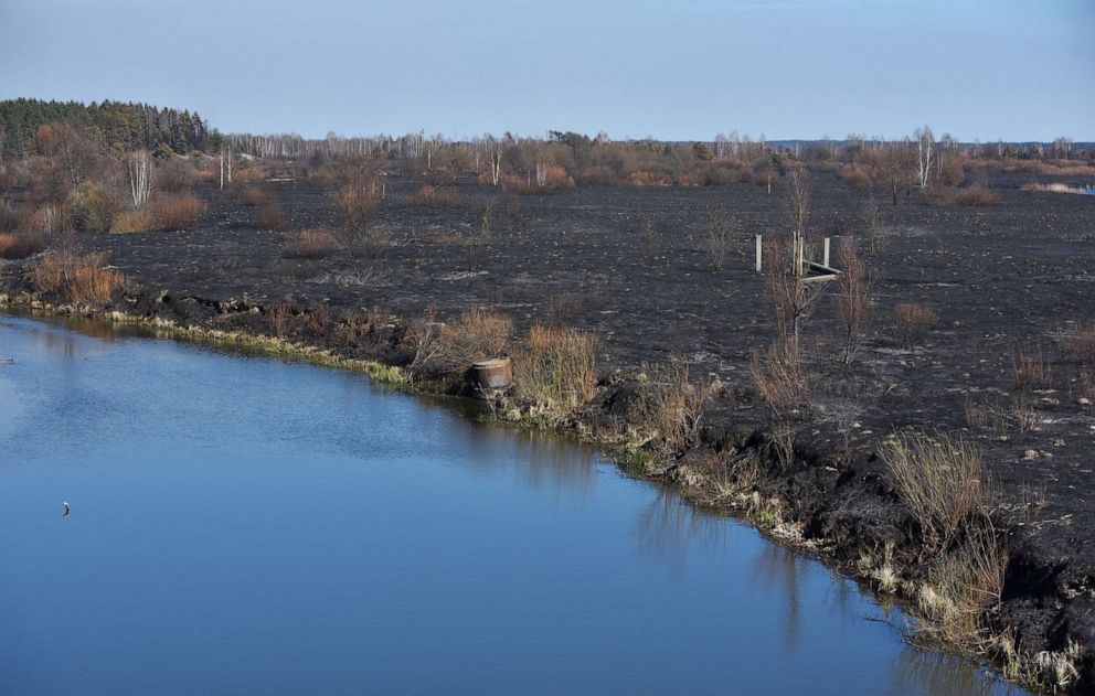 PHOTO: A view shows burned bushes and grass after a forest fire outside the settlement of Poliske exclusion zone around the Chernobyl nuclear power plant, Ukraine April 12, 2020.