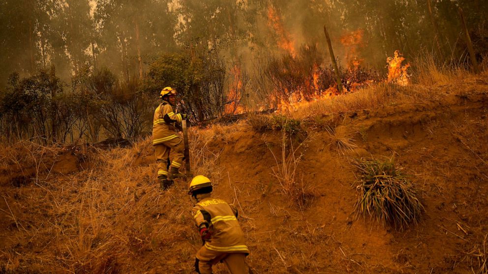 PHOTO: Firefighters work to extinguish flames alongside a road near Nacimiento, Chile, on Feb. 4, 2023. Wildfires are spreading in southern and central Chile, triggering evacuations and the declaration of a state of emergency in some regions.