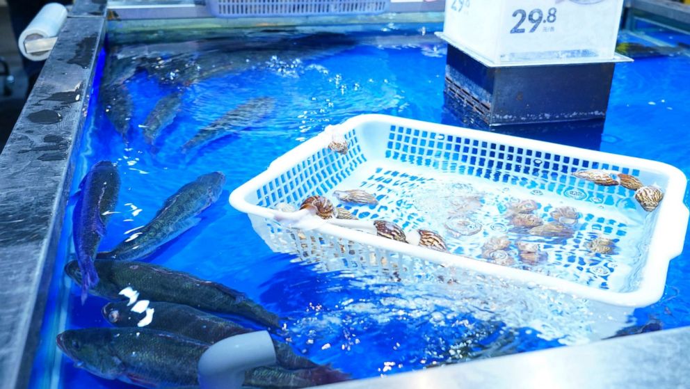 PHOTO: Fresh seafood is seen on display in Beijing, Nov. 7, 2018. Chinese consumers value the freshness of their food and often like to pick the particular product that they will consume at restaurants.