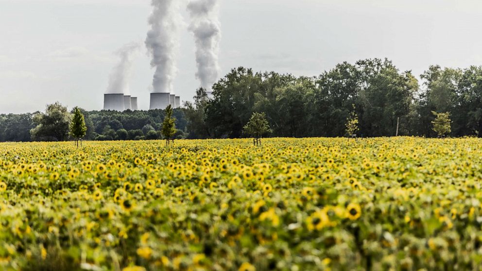 PHOTO: The lignite-fired power plant of Jaenschwalde is pictured behind sun flowers, July 28, 2022, in Doebbrick, Germany. The Jaenschwalde power plant is going to be powered off in 2028 as part of the german coal phase-out.