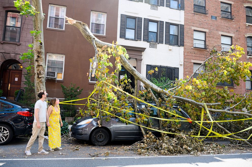PHOTO: People wear face masks near a fallen tree in Kips Bay as a result of Tropical Storm Isaias in New York, Aug. 8, 2020.
