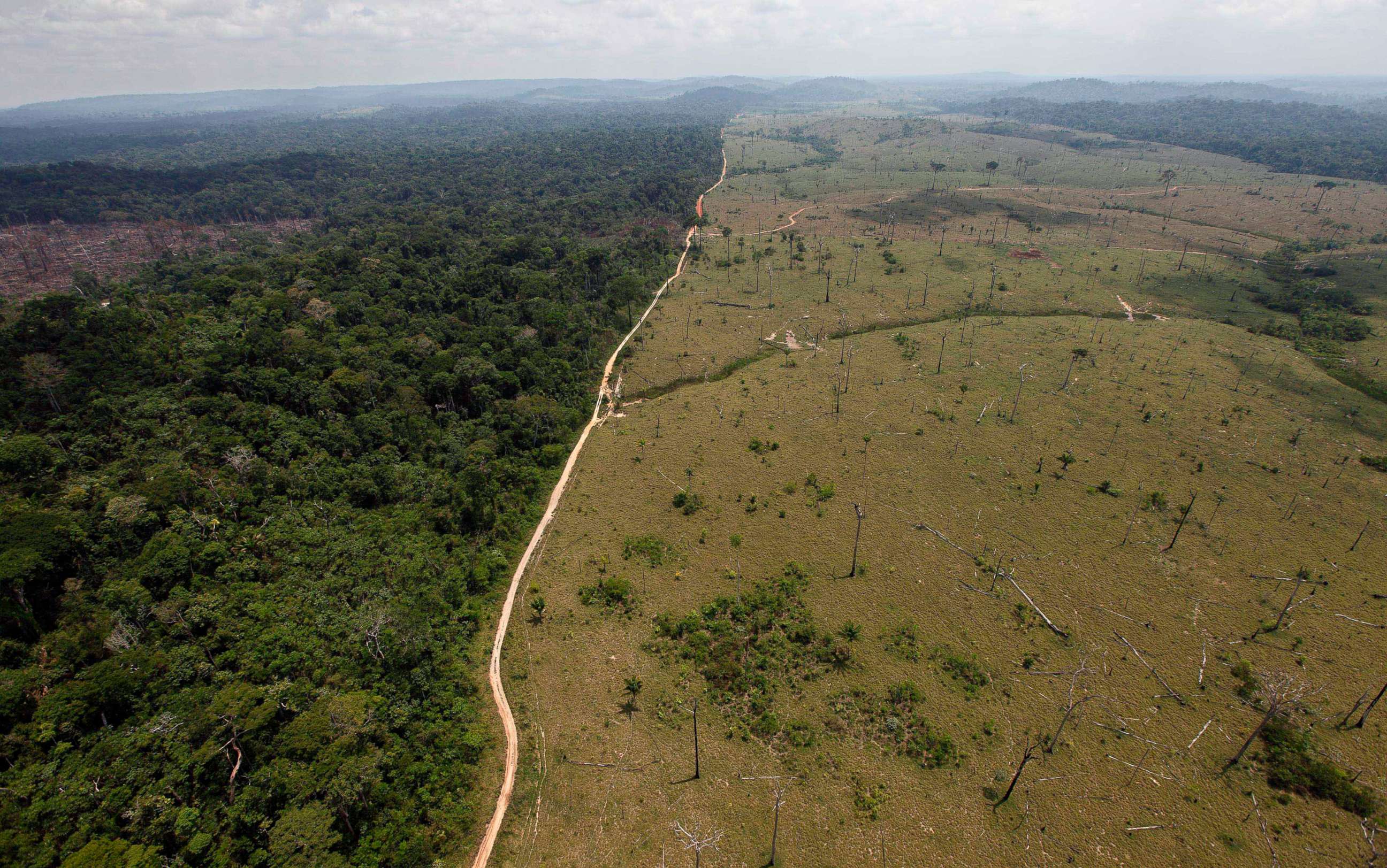 PHOTO: A deforested area near Novo Progresso in Brazil's northern state of Para, Sept. 15, 2009.