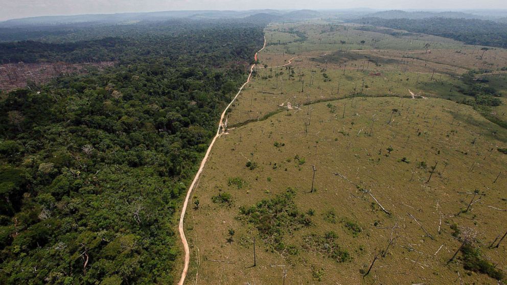 PHOTO: A deforested area near Novo Progresso in Brazil's northern state of Para, Sept. 15, 2009.