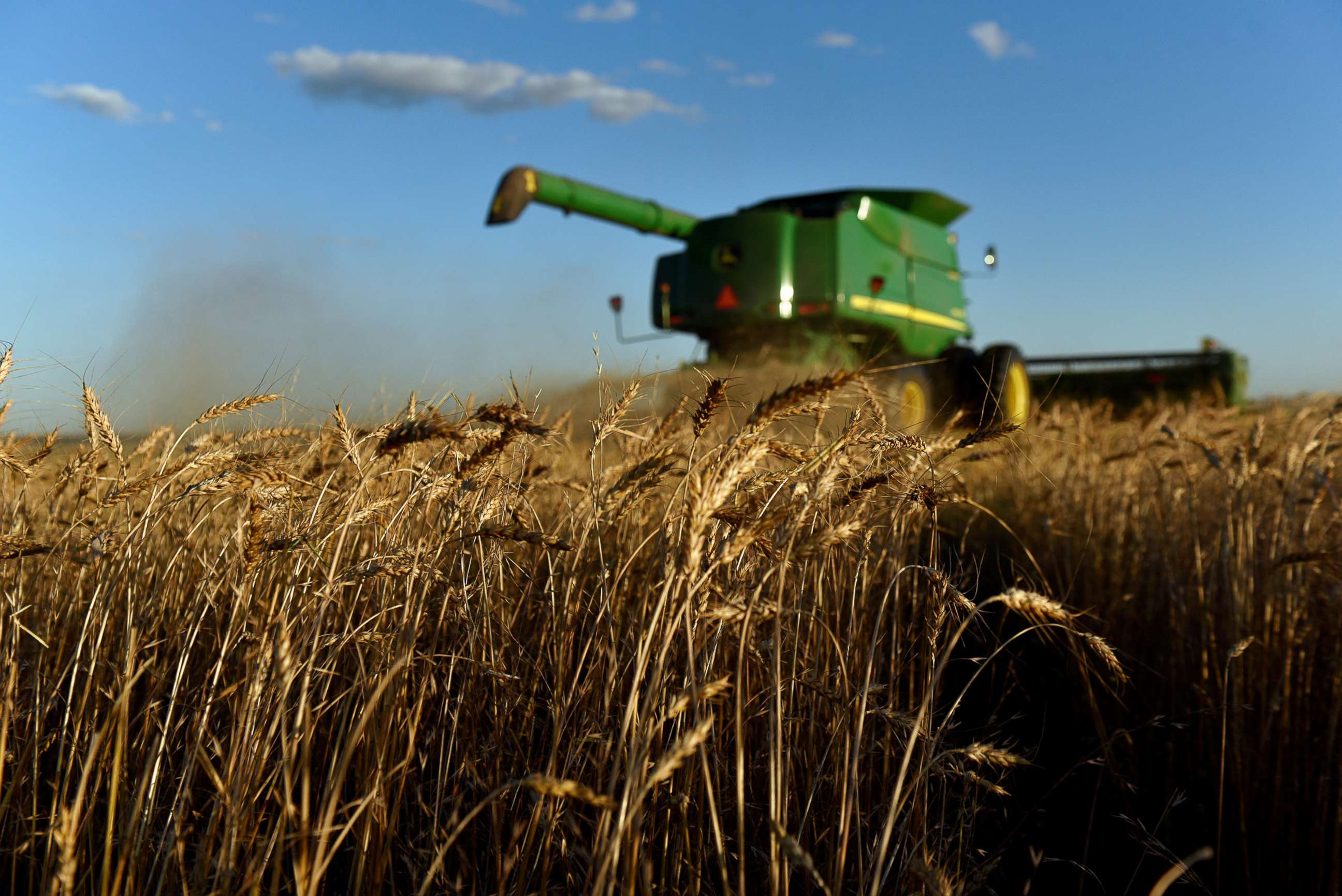 PHOTO: A combine harvests wheat in Corn, Okla., June 12, 2019.