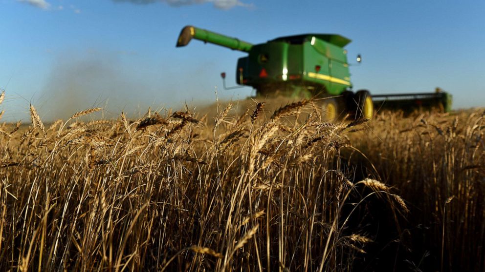 UN report states climate change could impact global food systems 