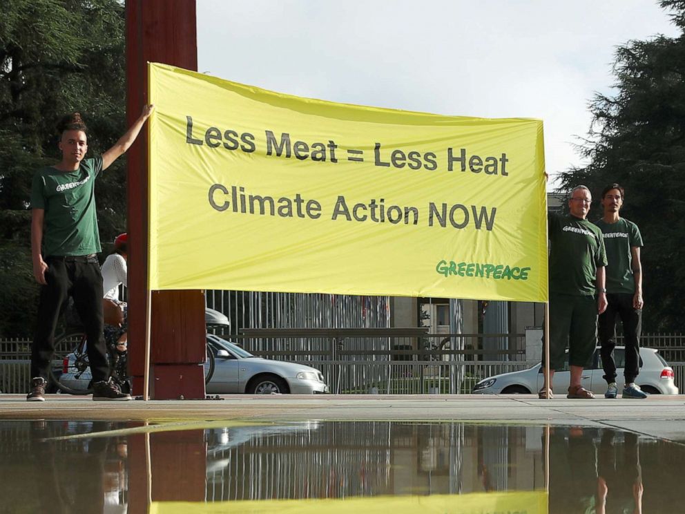 PHOTO: Greenpeace activists hold a banner in front of the United Nations before a news conference by the Intergovernmental Panel on Climate Change (IPCC), in Geneva, Switzerland, Aug. 8, 2019.