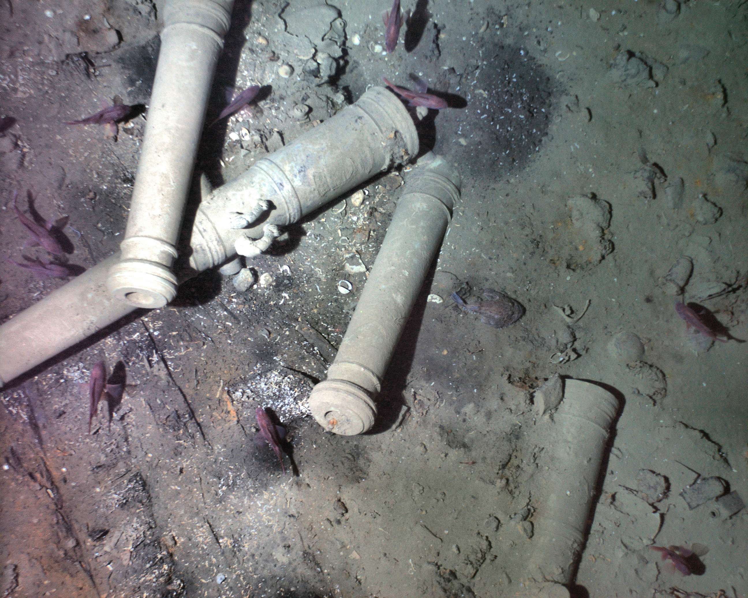 PHOTO: This November 2015 photo released Monday, May 21, 2018, by the Woods Hole Oceanographic Institution shows cannons from the 300-year-old shipwreck of the Spanish galleon San Jose on the floor of the Caribbean Sea off the coast of Colombia.