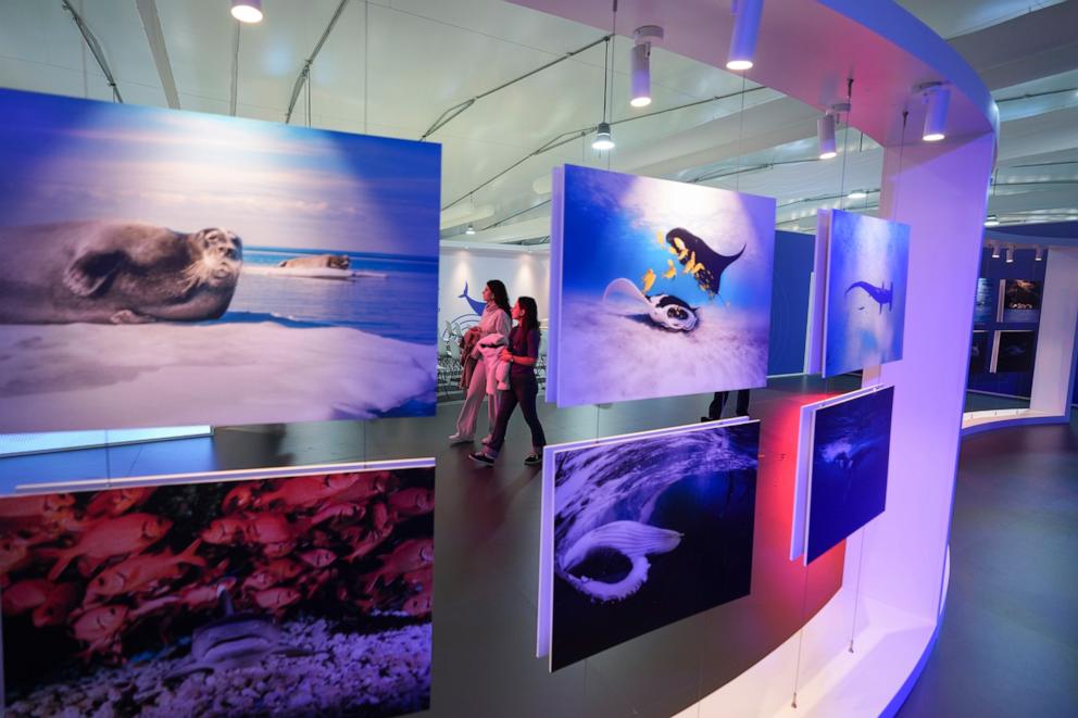 PHOTO: People walk through an exhibit in the Green Zone at the COP29 U.N. Climate Summit, Nov. 11, 2024, in Baku, Azerbaijan.