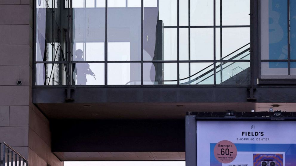 PHOTO: Armed Police arrive at Field's shopping center, after Danish police said they received reports of shooting, in Copenhagen, Denmark, July 3, 2022.