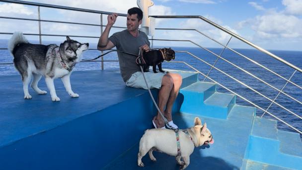 Cruise ship saves passengers, pets from disabled catamaran