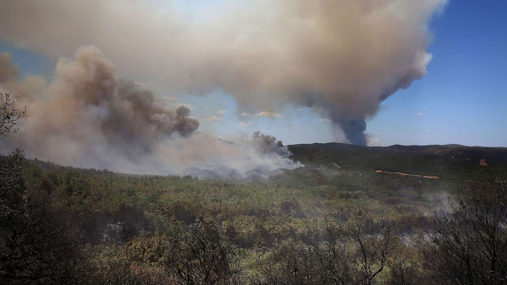 PHOTO: Thick smoke rises as a wildfire burn in Dadia forest, in Alexandroupolis, Thrace, northern Greece, Aug. 21, 2023.