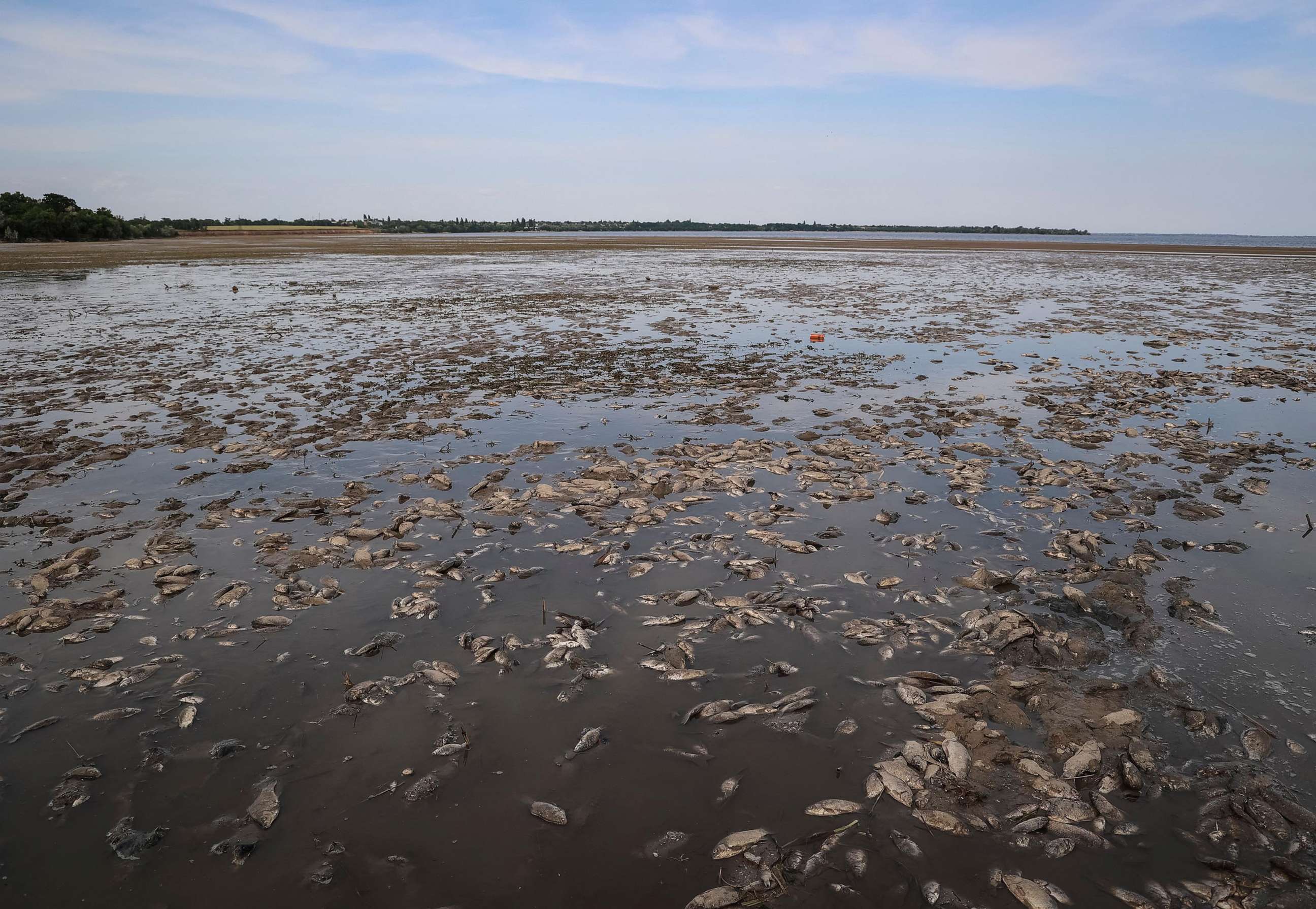 PHOTO: Dead fish are seen on the drained bottom of the Nova Kakhovka reservoir after the Nova Kakhovka dam breached, in the village of Marianske in Dnipropetrovsk region, Ukraine, on June 7, 2023.