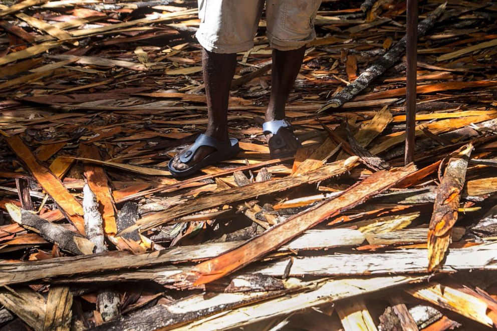 PHOTO: A significant amount of wood chips left by precious wood cutters in the Vohibola forest near the village of Manambato, Madagascar, March 24, 2019.