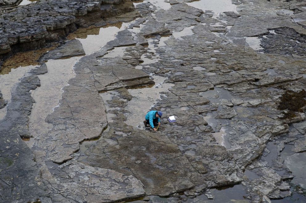 PHOTO: Scientist Paige dePolo at at Brothers' Point on the Isle of Skye in Scotland in an undated photograph supplied by Edinburgh University on April 2, 2018.