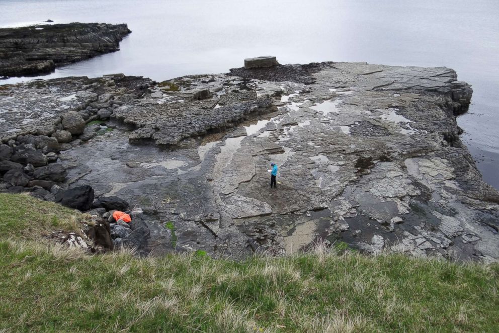 PHOTO: A view from the cliff above of the main track-bearing platform where dinosaurs once roamed on the Isle of Skye in Scotland.