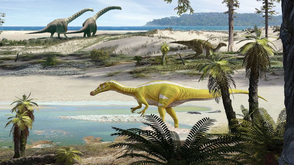 Forscher sagten, der neue Dinosaurier, eine Art Spinosaurus, sei in Spanien entdeckt worden