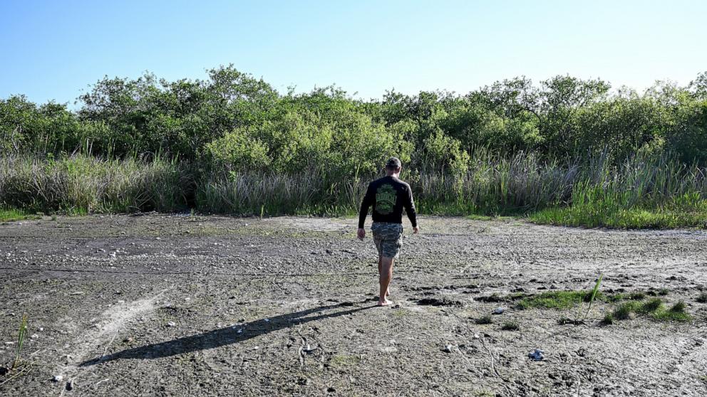 PHOTO: Owner of Mack's Fish Camp Marshall Jones walks drought wetland plants at The Everglades National Park, in Pembroke Pines, Florida, May 16, 2025.