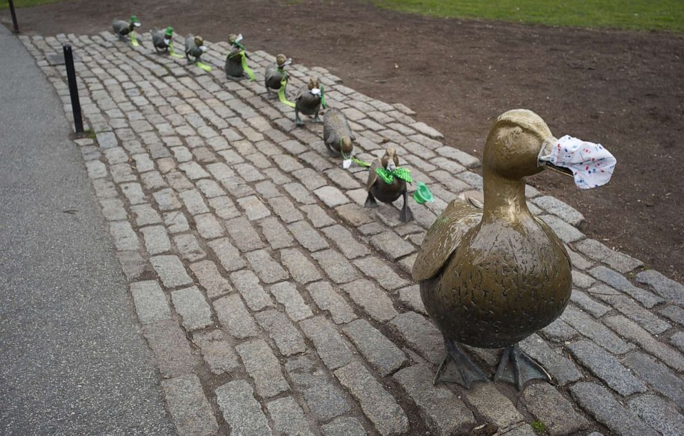 PHOTO: The 'Make Way for Ducklings' statues in Boston Public Gardens dressed in surgical masks and St Patrick's Day attire in Boston, March 23, 2020.