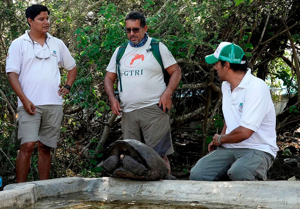 PHOTO: Washington Tapia, center, a member of Galapagos Conservancy, and two park rangers are pictured with a giant Galapagos tortoise at the Galapagos National Park on Santa Cruz Island, in the Galapagos Archipelago, Feb. 19, 2019.