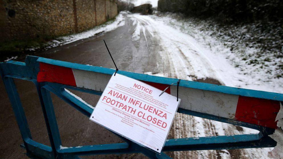 FILE PHOTO: A closed road leading to a chicken farm is seen after an outbreak of bird flu in the village of Upham in southern England February 3, 2015. 