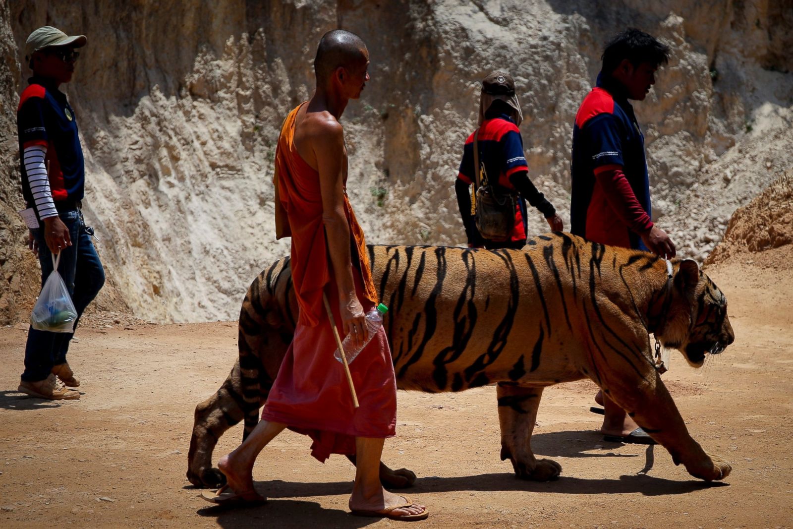 tiger temple visit