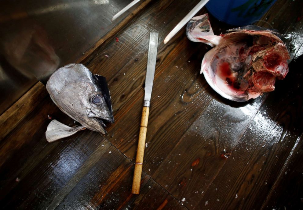 PHOTO: The head of a fresh tuna fish lies next to a specialized tuna filleting knife at the Tsukiji fish market in Tokyo, Sept. 29, 2018.