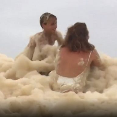 The dog became lost in a huge cloud of sea foam caused by storms that have battered the Gold Coast of Australia.