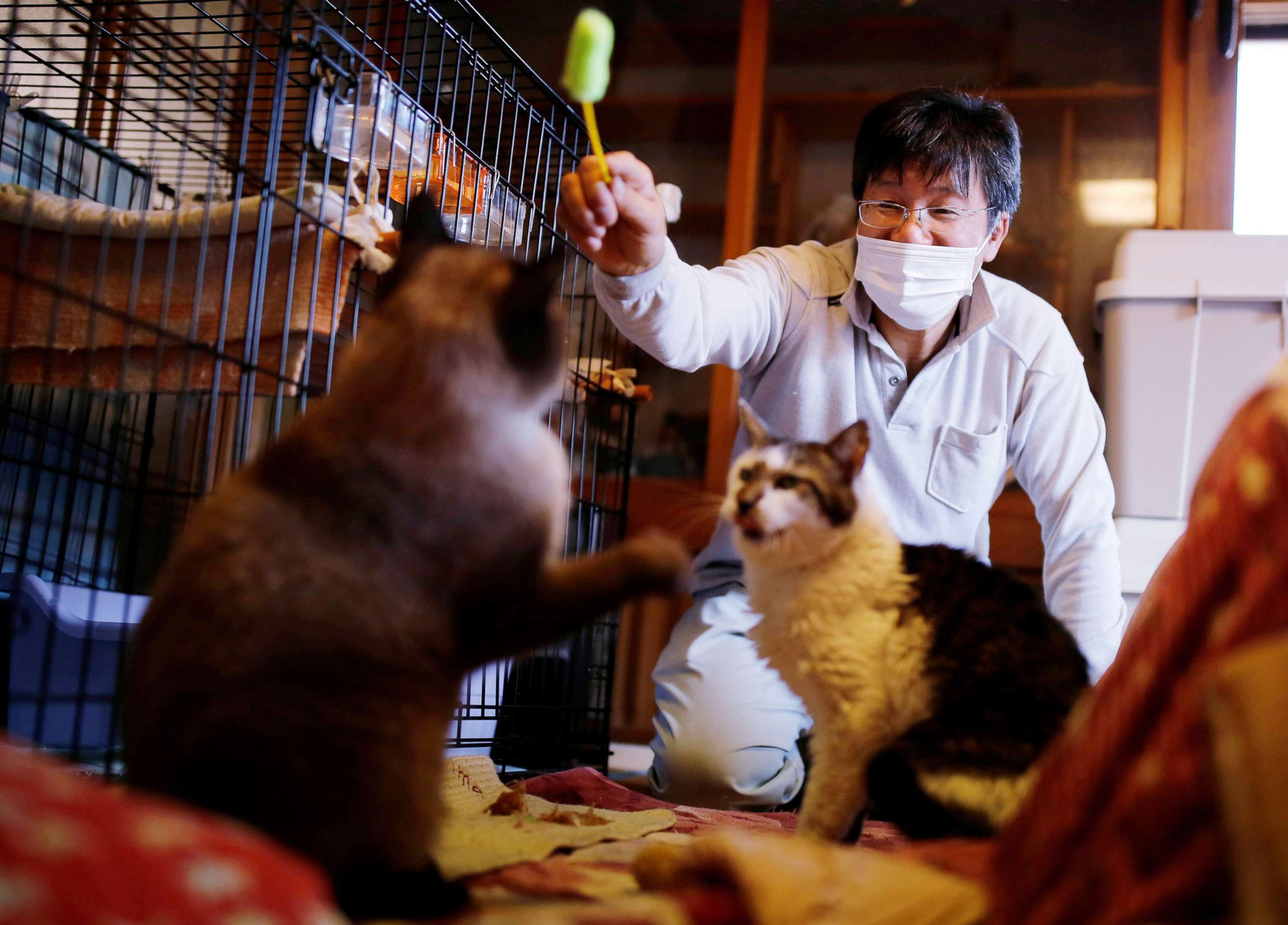 PHOTO: Sakae Kato plays with cats that he rescued, called Mokkun and Charm, who are both infected with feline leukemia virus, at his home, in a restricted zone in Namie, Fukushima Prefecture, Japan, Feb. 20, 2021.