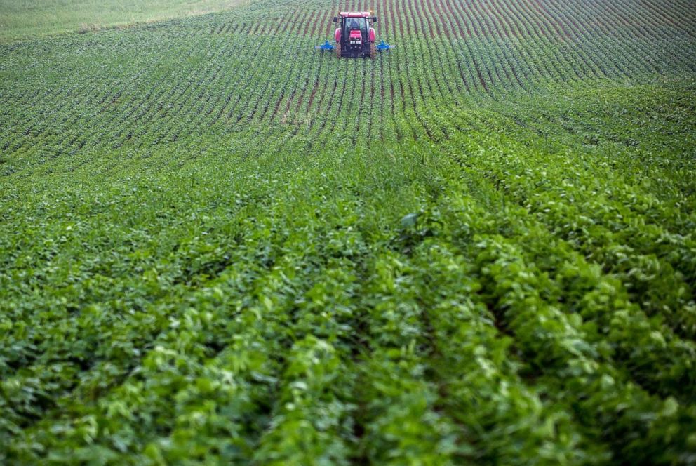 PHOTO: In this July 12, 2021, file photo, a farmer drives a tractor across a soy field in Peguilhan, France.