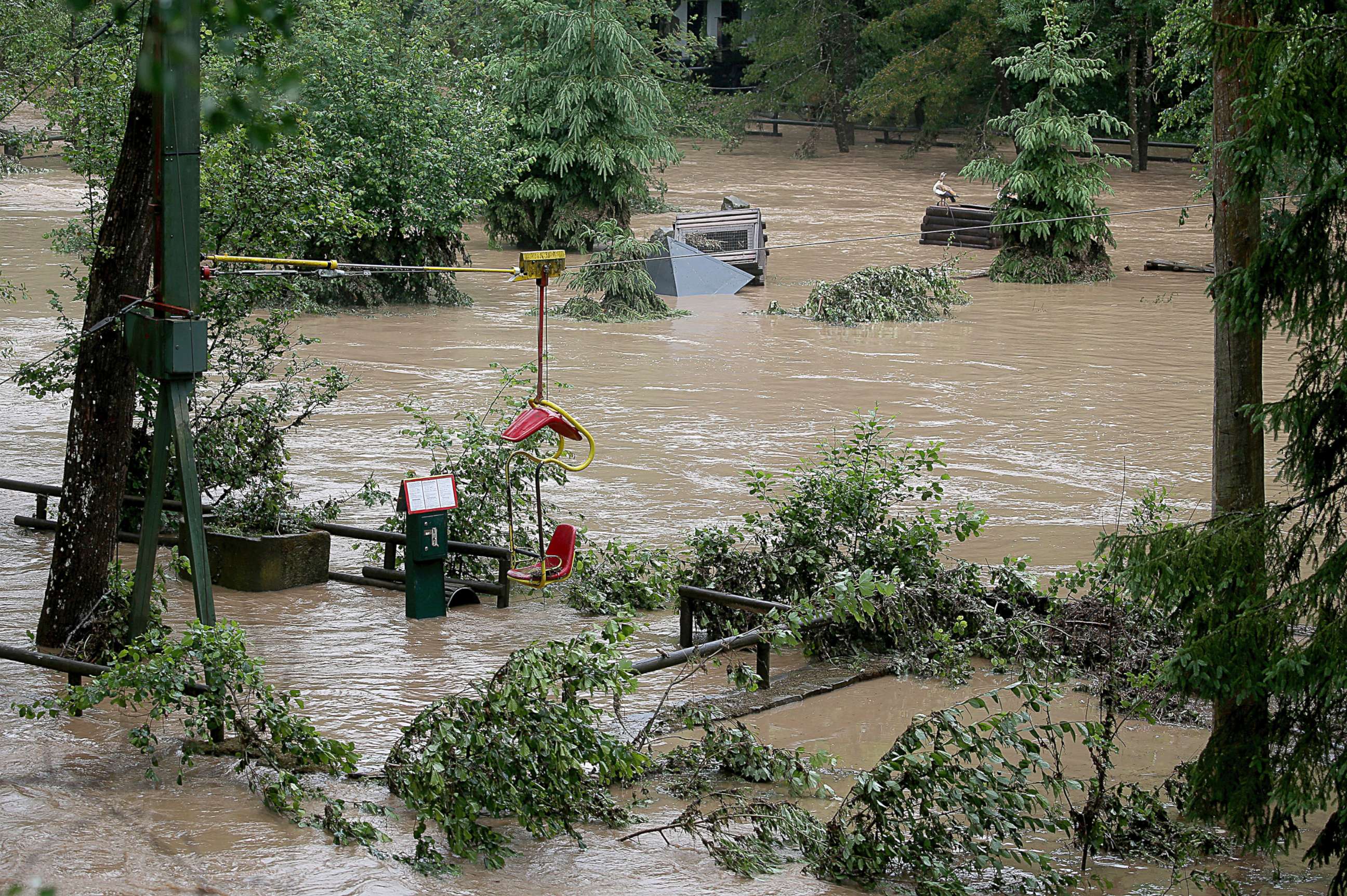PHOTO: The Eifel zoo in Luenebach, western Germany flooded, June 1, 2018. 