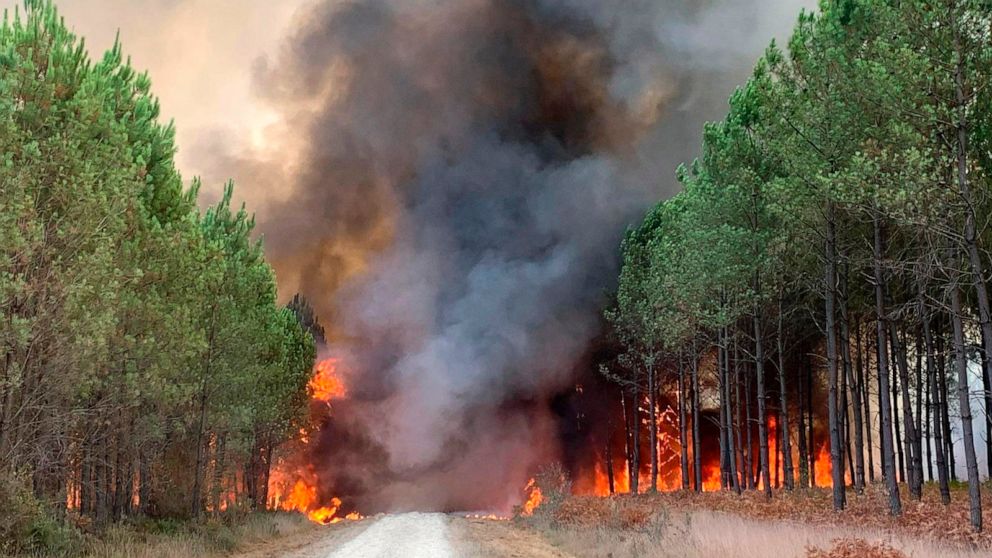 PHOTO: Flames consume trees at a forest fire in Saint Magne, south of Bordeaux, France, Aug. 10, 2022, in a photo provided by the fire brigade of the Gironde region SDIS 33, (Departmental fire and rescue service 33.)