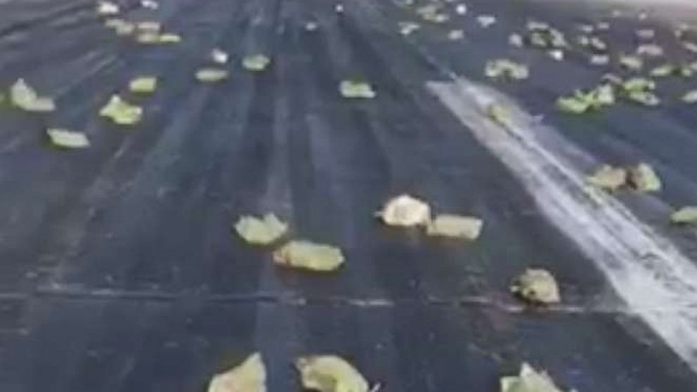 A plane carrying tons of precious gold-silver bars littered a runway in Russia and the surrounding area with its cargo, March 15, 2018, after part of the plane ripped off during takeoff, according to Russian media and a local official.