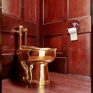 Four men have been charged after a solid gold toilet worth nearly $6 million was stolen from Blenheim Palace, the birthplace of former Prime Minister Winston Churchill.