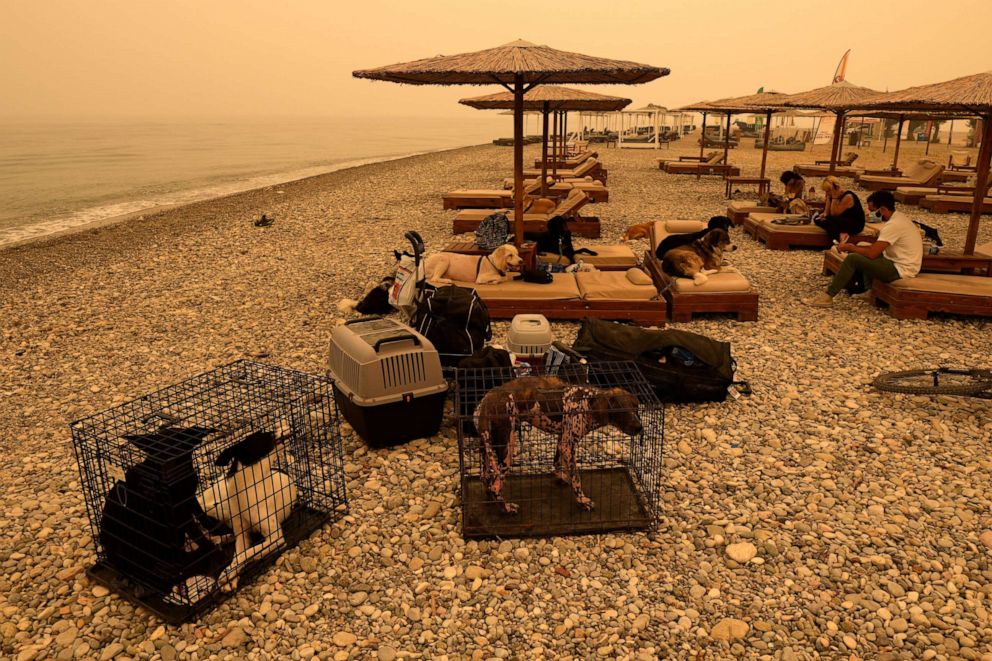 PHOTO: People and pets gather on the beach during a wildfire at Pefki village on Evia island, about 189 kilometers (118 miles) north of Athens, Greece, Monday, Aug. 9, 2021.