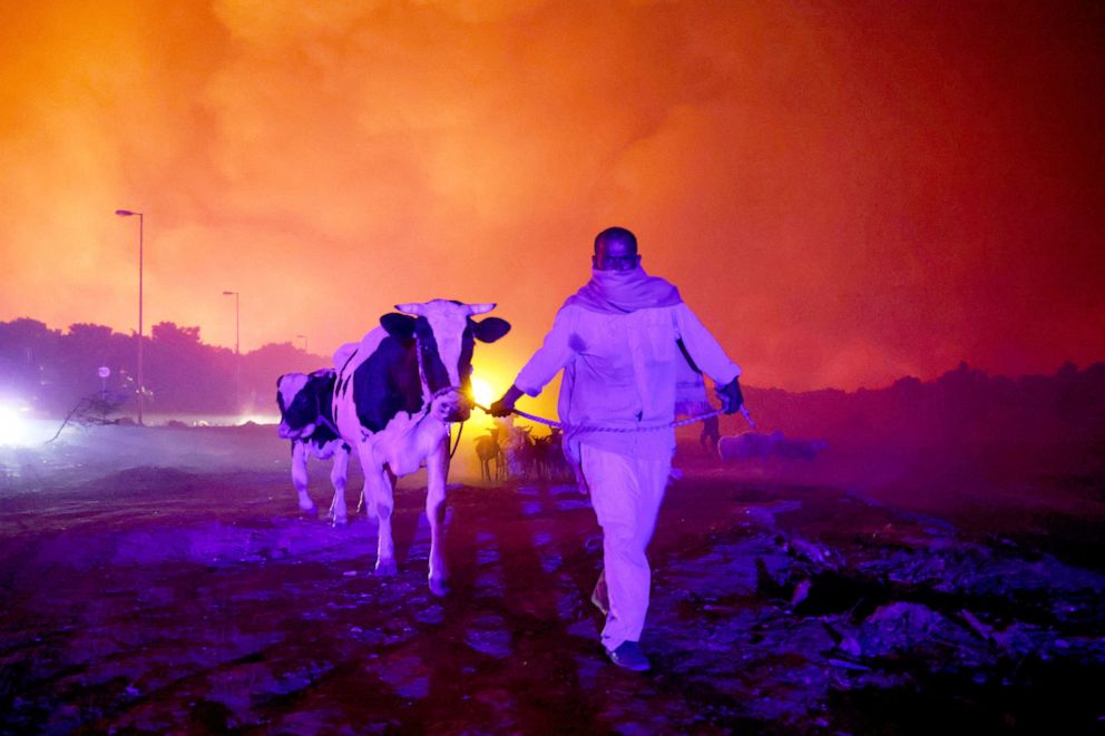 PHOTO: A resident evacuates the area with his animals as a wildfire rages in the suburb of Thrakomakedones, north of Athens, Greece, Aug. 7, 2021. 