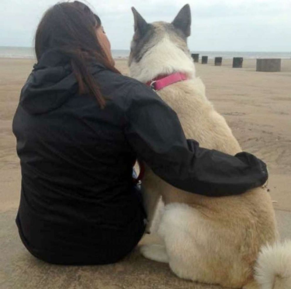 PHOTO: Dogs spend their last days at the Grey Canine Muzzle Hospice Project, where organizers shower them with love.